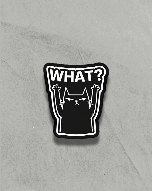 WHAT? / Car Sticker